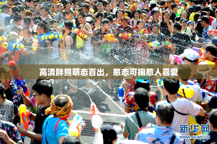 高清胖熊萌态百出，憨态可掬惹人喜爱