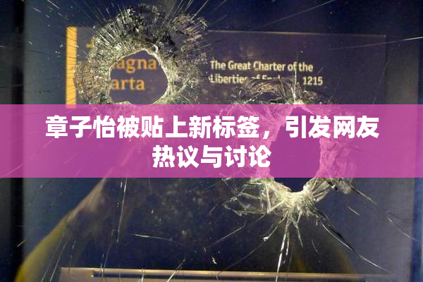 章子怡被贴上新标签，引发网友热议与讨论