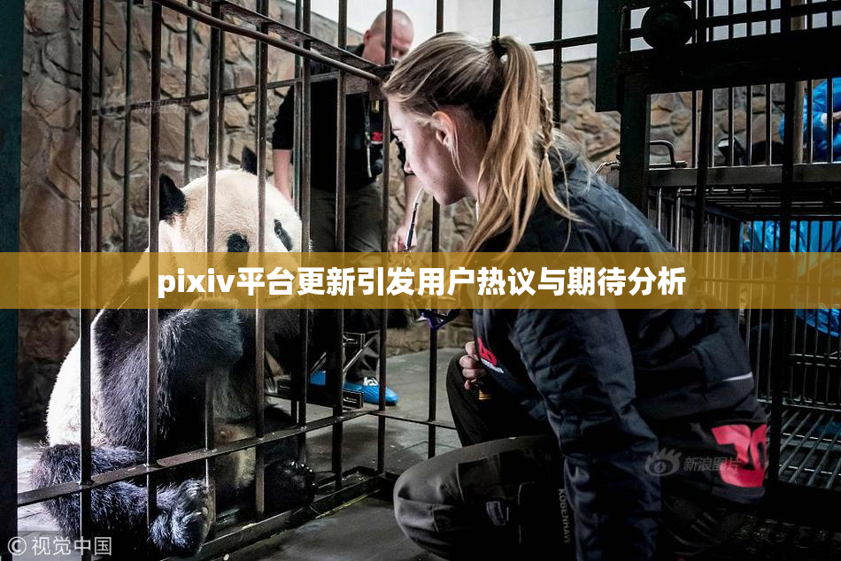 pixiv平台更新引发用户热议与期待分析