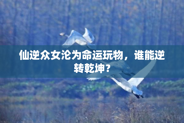仙逆众女沦为命运玩物，谁能逆转乾坤？