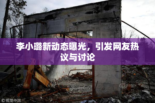 李小璐新动态曝光，引发网友热议与讨论