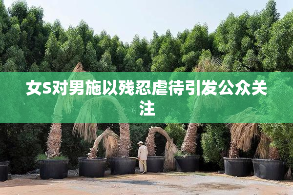 女S对男施以残忍虐待引发公众关注