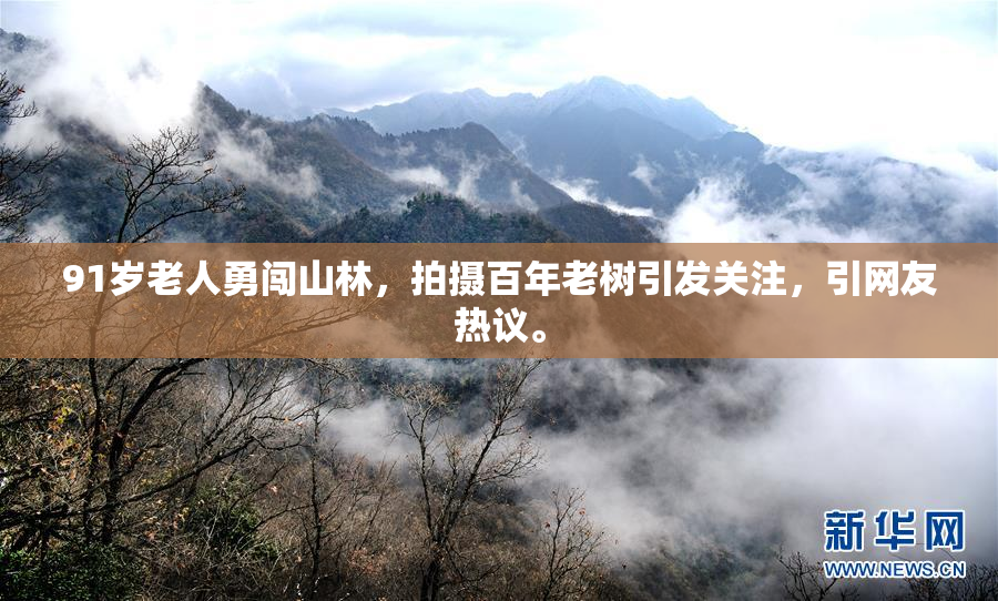 91岁老人勇闯山林，拍摄百年老树引发关注，引网友热议。