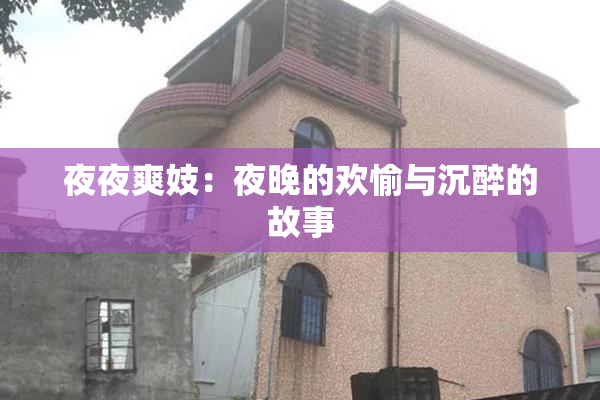 夜夜爽妓：夜晚的欢愉与沉醉的故事