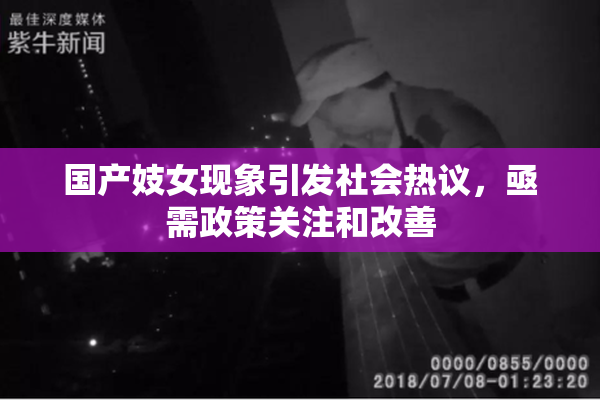 国产妓女现象引发社会热议，亟需政策关注和改善