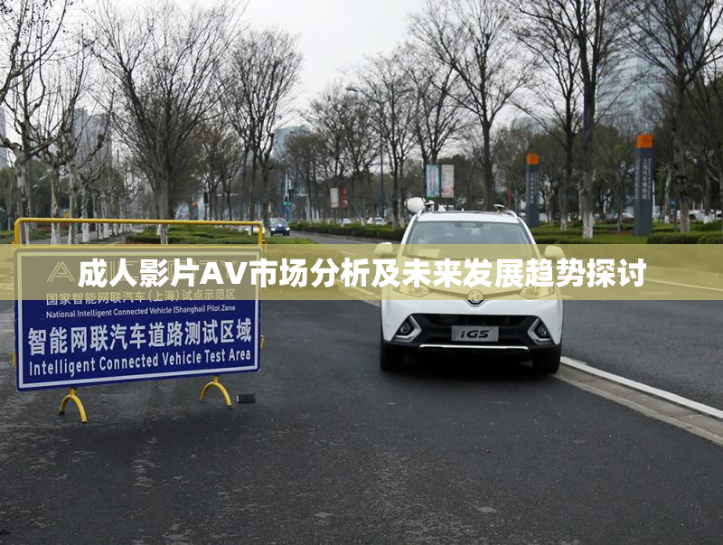 成人影片AV市场分析及未来发展趋势探讨