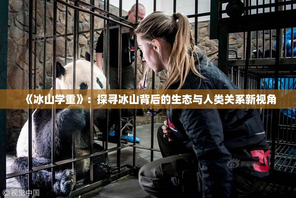 《冰山学重》：探寻冰山背后的生态与人类关系新视角