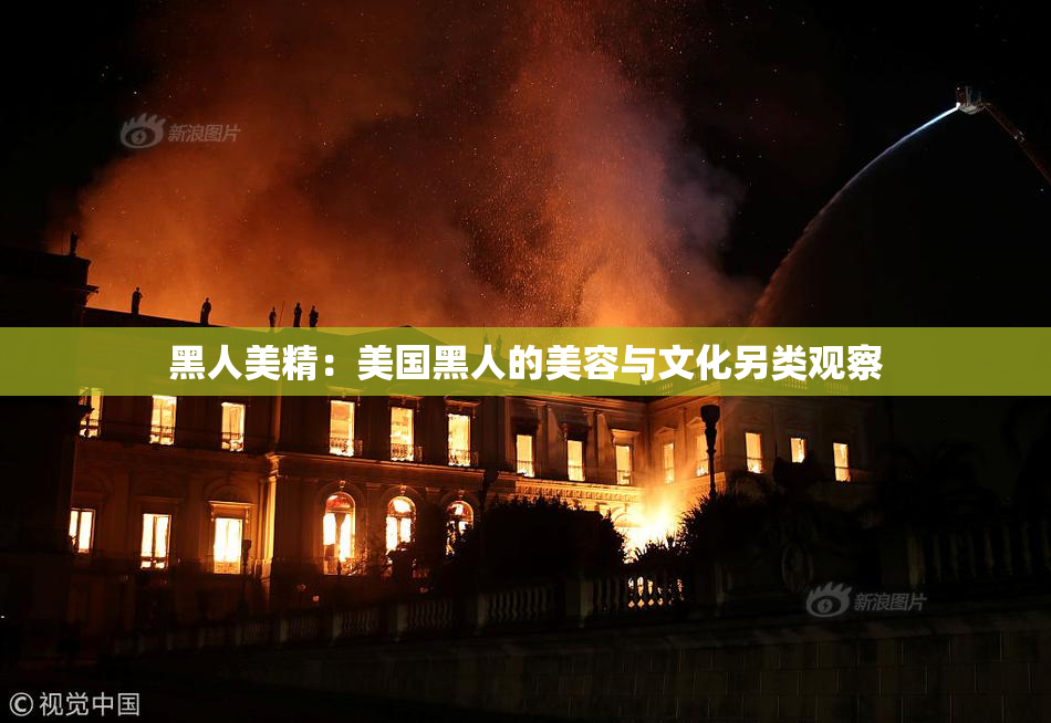 黑人美精：美国黑人的美容与文化另类观察