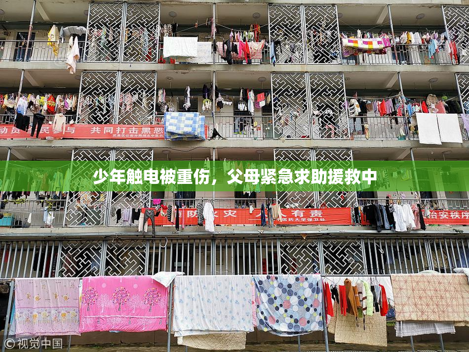 少年触电被重伤，父母紧急求助援救中