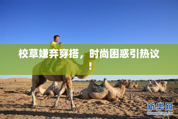校草嫌弃穿搭，时尚困惑引热议！
