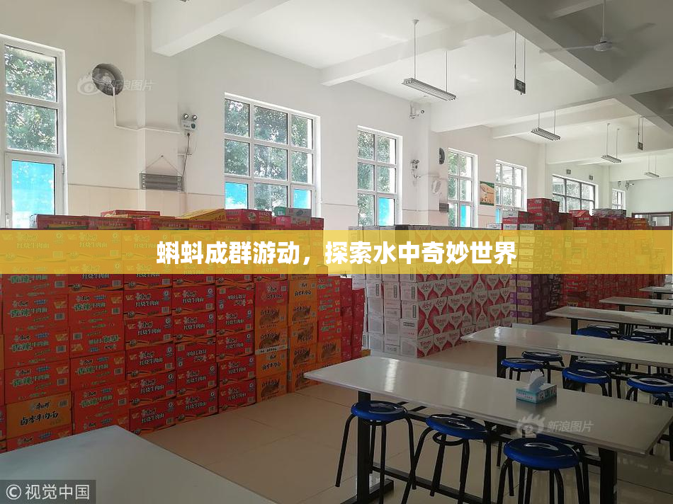 蝌蚪成群游动，探索水中奇妙世界