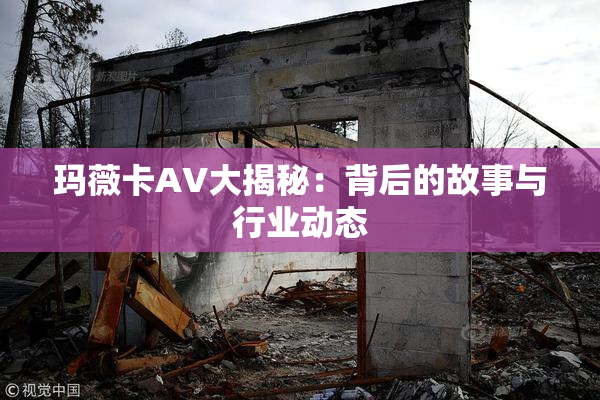 玛薇卡AV大揭秘：背后的故事与行业动态