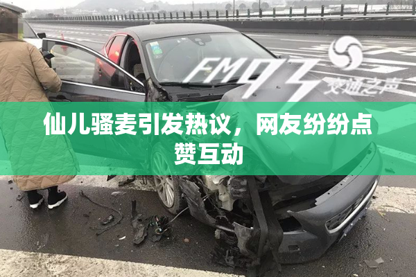 仙儿骚麦引发热议，网友纷纷点赞互动