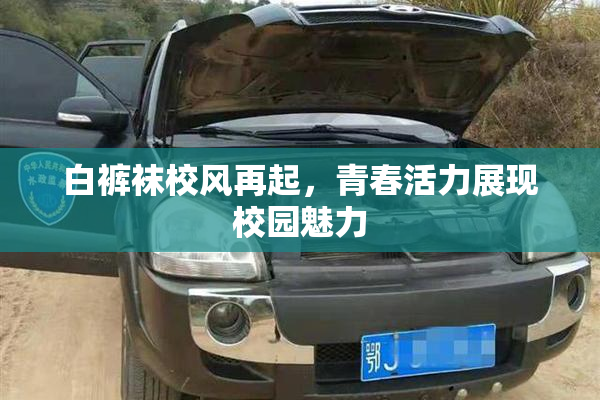 白裤袜校风再起，青春活力展现校园魅力