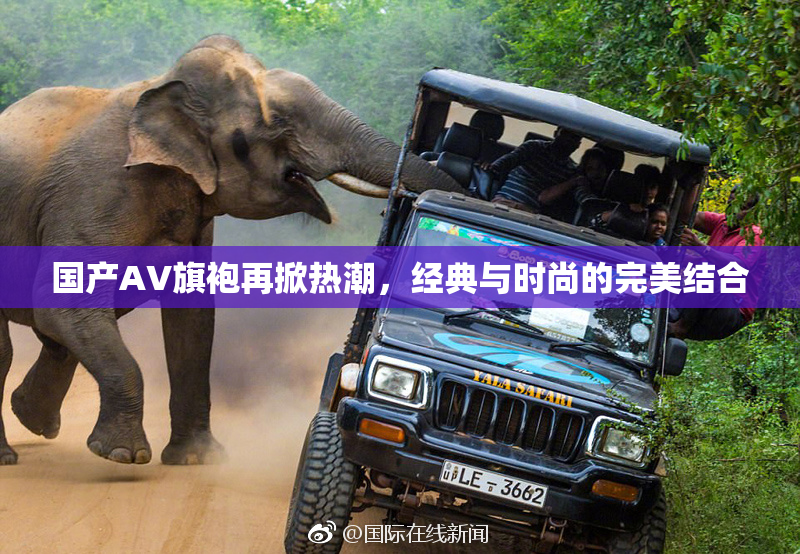 国产AV旗袍再掀热潮，经典与时尚的完美结合
