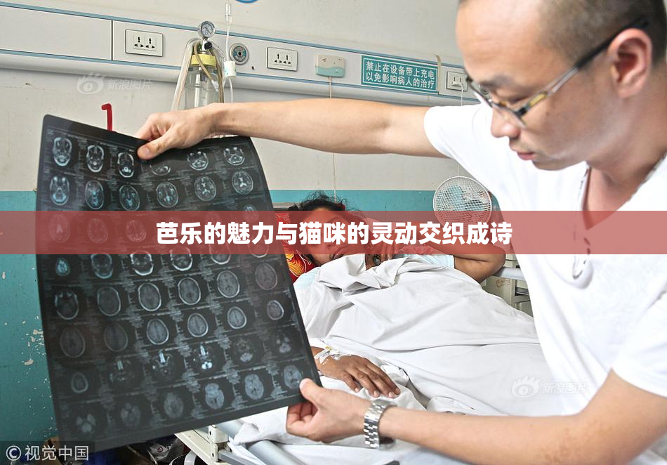芭乐的魅力与猫咪的灵动交织成诗