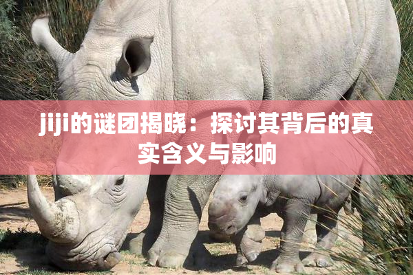 jiji的谜团揭晓：探讨其背后的真实含义与影响