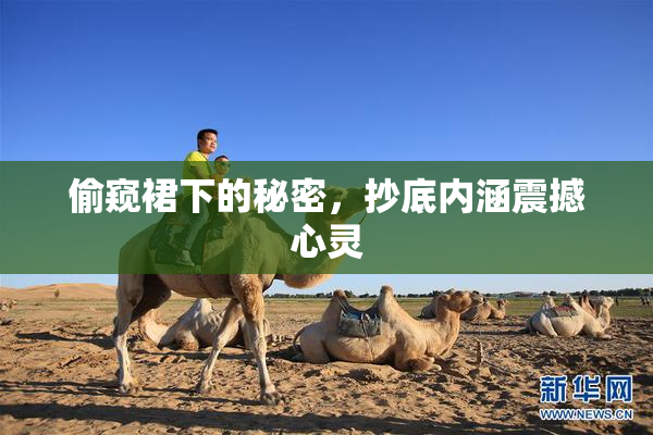 偷窥裙下的秘密，抄底内涵震撼心灵