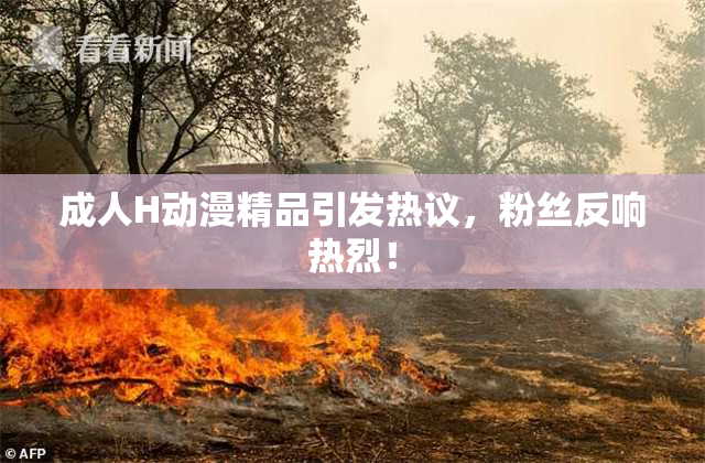 成人H动漫精品引发热议，粉丝反响热烈！