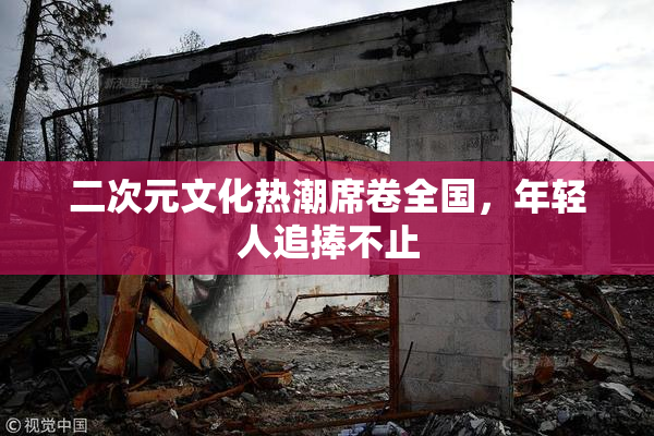 二次元文化热潮席卷全国，年轻人追捧不止