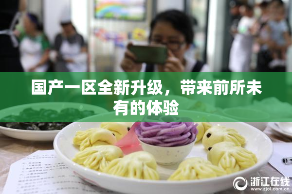 国产一区全新升级，带来前所未有的体验