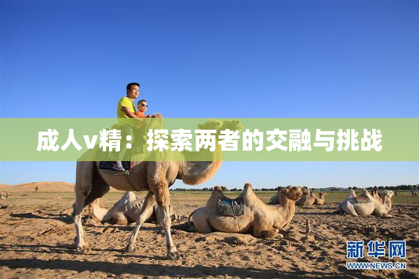 成人v精：探索两者的交融与挑战