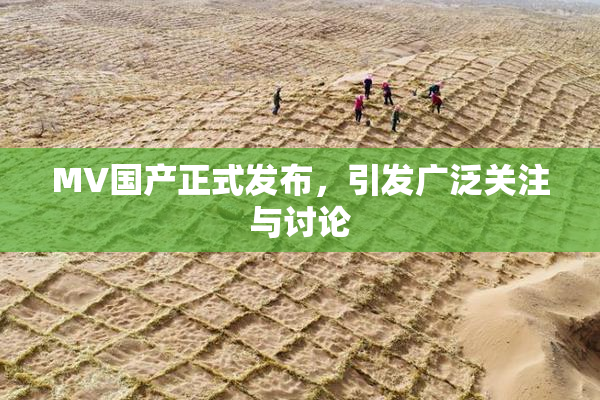 MV国产正式发布，引发广泛关注与讨论