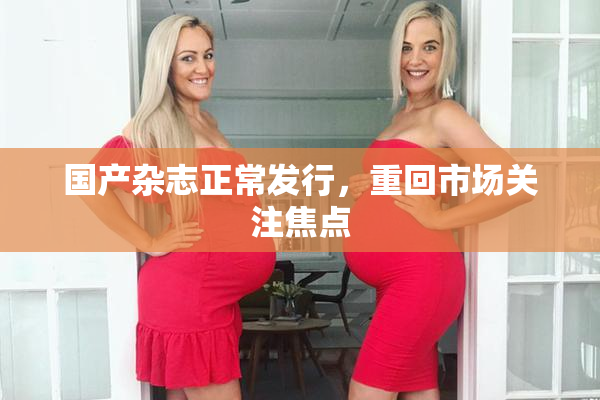 国产杂志正常发行，重回市场关注焦点