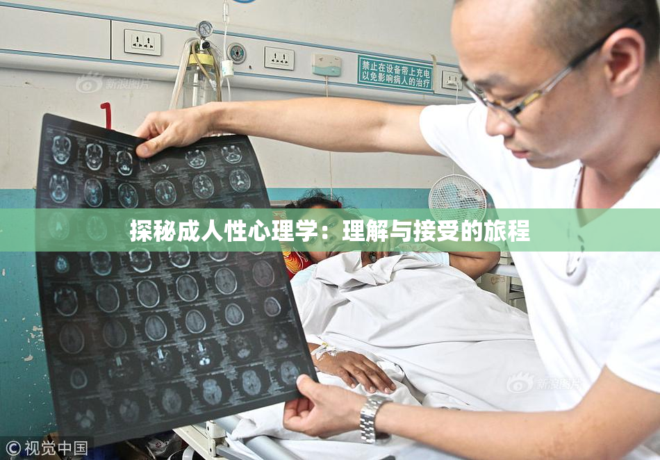 探秘成人性心理学：理解与接受的旅程