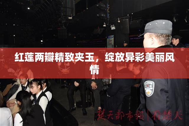 红莲两瓣精致夹玉，绽放异彩美丽风情