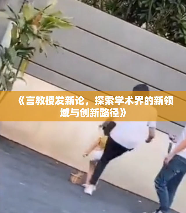 《言教授发新论，探索学术界的新领域与创新路径》