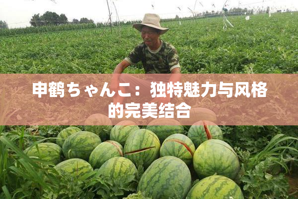 申鹤ちゃんこ：独特魅力与风格的完美结合