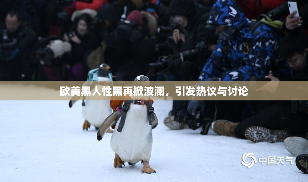 欧美黑人性黑再掀波澜，引发热议与讨论