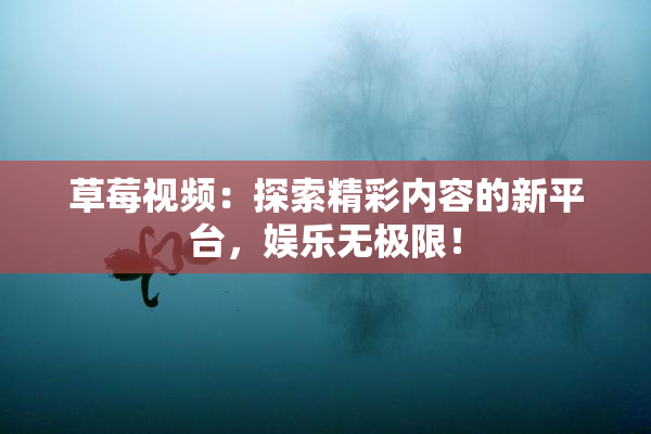 草莓视频：探索精彩内容的新平台，娱乐无极限！