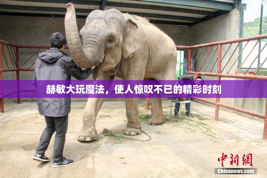 赫敏大玩魔法，使人惊叹不已的精彩时刻