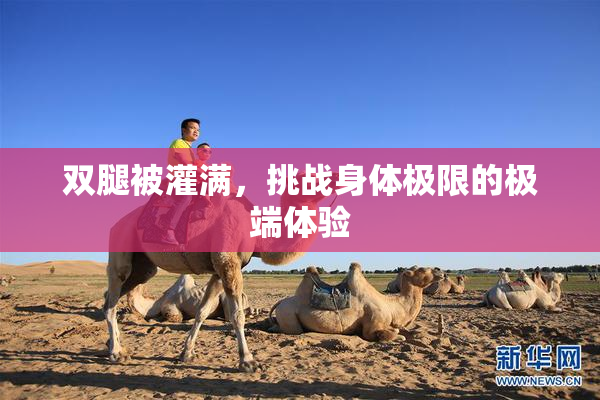双腿被灌满，挑战身体极限的极端体验
