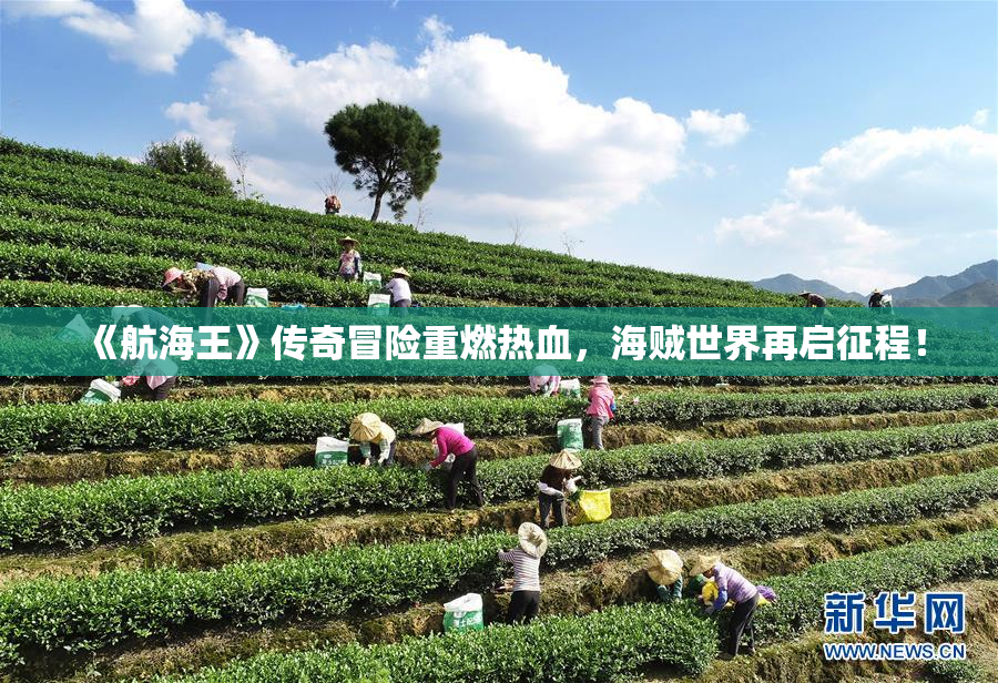《航海王》传奇冒险重燃热血，海贼世界再启征程！