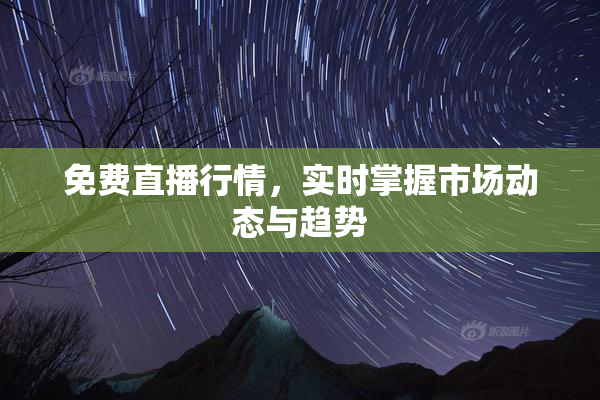 免费直播行情，实时掌握市场动态与趋势