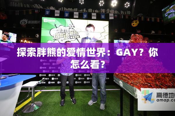 探索胖熊的爱情世界：GAY？你怎么看？