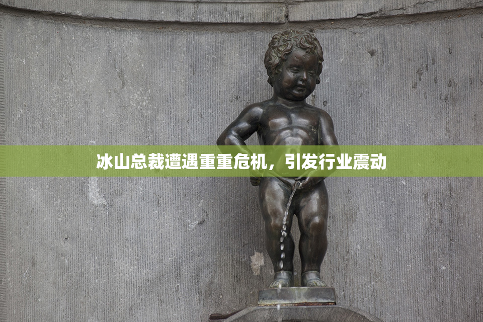 冰山总裁遭遇重重危机，引发行业震动