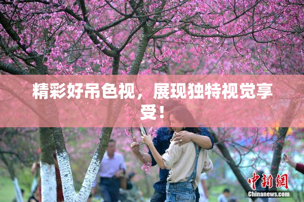 精彩好吊色视，展现独特视觉享受！