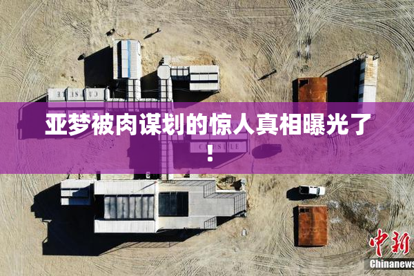 亚梦被肉谋划的惊人真相曝光了！