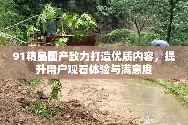 91精品国产致力打造优质内容，提升用户观看体验与满意度