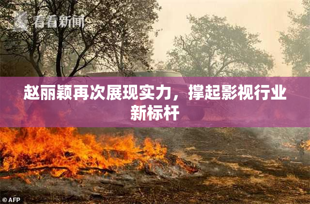 赵丽颖再次展现实力，撑起影视行业新标杆
