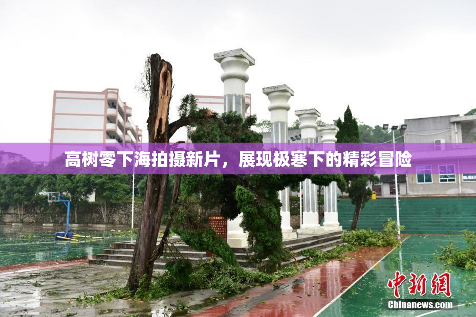 高树零下海拍摄新片，展现极寒下的精彩冒险
