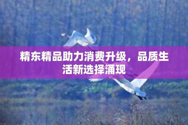 精东精品助力消费升级，品质生活新选择涌现