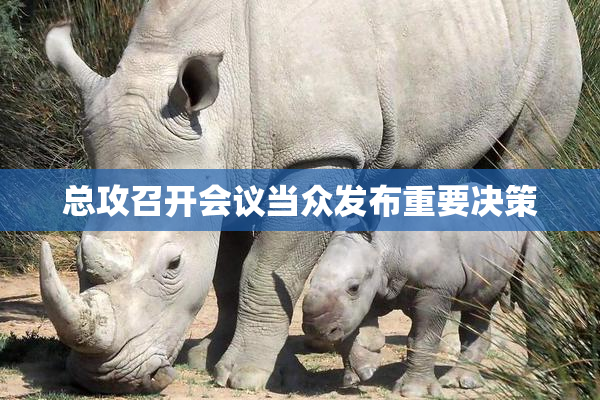总攻召开会议当众发布重要决策