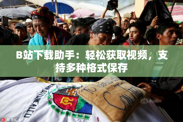 B站下载助手：轻松获取视频，支持多种格式保存