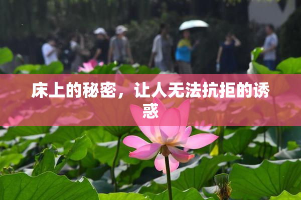 床上的秘密，让人无法抗拒的诱惑