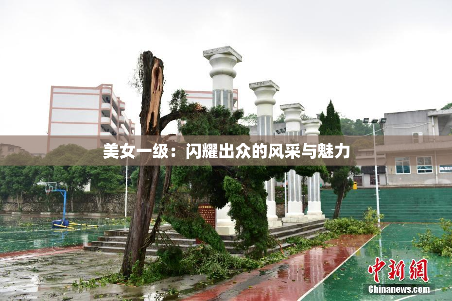 美女一级：闪耀出众的风采与魅力
